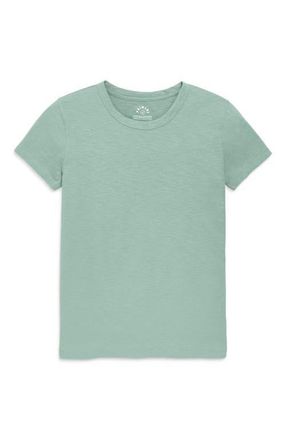 primary Womens Fit Classic Slub Crewneck Tee in Matcha at Nordstrom, Size Xx-Large