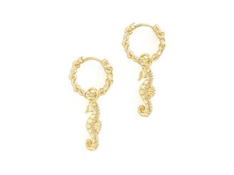 Kendra Scott Seahorse Huggie Womens Earrings Earring Gold Gold, Brass