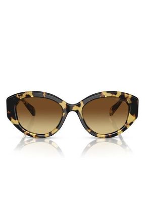 Swarovski 53mm Gradient Cat Eye Sunglasses in Medium Havana /Brown Gradient at Nordstrom