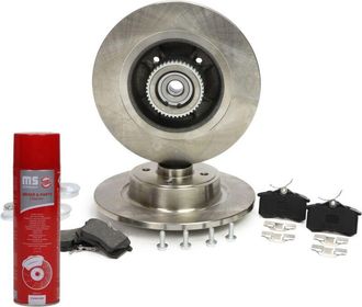 OEM Juego De Discos Y Pastillas De Freno Trasero 201101660