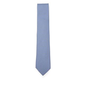 Ferragamo Ties Blue