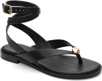 Sanctuary Style Ankle Strap Sandal in Black at Nordstrom, Size 8