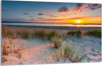 OEM Protector De Cristal Para Encimera 80x52 Beach