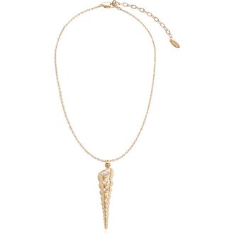 Ettika Long Conch Shell Pendant Necklace in Gold at Nordstrom Rack