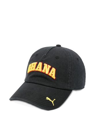 Puma Im folgenden Fall