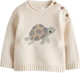 Next Kids Turtle Sweater in Cream at Nordstrom, Size 12-18M