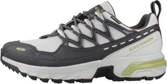 Salomon Heren, Schoenen, Grijs, Maat: 43 1/3 EU