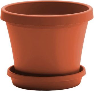 Bloem 14 Inch Terra Pot Planter, Terra Cotta in Brown at Nordstrom