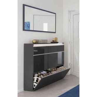 Dmora Dmora - Scarpiera Amuri, Mobile multiuso a 2 ante e 1 anta a ribalta, Portascarpe da ingresso, 100% Made in Italy, cm 120x27h108, Antracite lucido