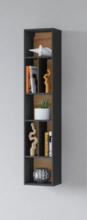 Inosign Wandregal »Toledo,Höhe 159 cm stilvolle Bücherregal, viel Stauraum« Wandregal Masse 32/159/25 (B/H/T)