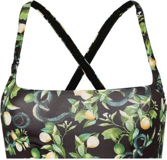 Roberto Cavalli lemon-print bikini top - women - Polyester/Elastane - S - Black