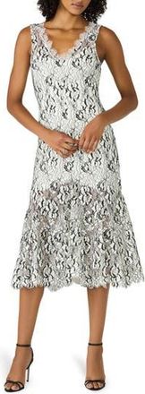 Steve Madden Lissette Midi Dress in Black/White at Nordstrom Rack, Size 16