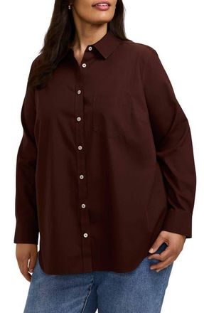 Foxcroft Boyfriend Non-Iron Cotton Blouse in Chicory Coffee Brown at Nordstrom, Size 22W