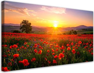 Feeby Cuadro En Lienzo, Amapolas En La Pradera Atardecer, 120x60