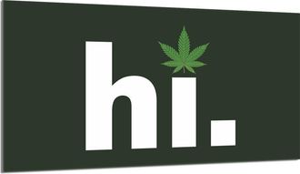 OEM Placa Protectora De Vidrio Para Estufa 90x52 Hoja