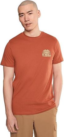 O'Neill Burst Classic Short Sleeve T-Shirts Mens T Shirt Chutney : 2XL, Cotton