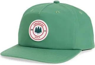 Swannies Balsam Snapback Baseball Cap in Green at Nordstrom Rack