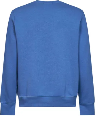 Polo Ralph Lauren Mens Sweatshirt Polo Bear Light Blue Cotton Sweatshirts Sweater