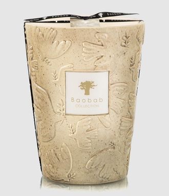 Baobab Bougie Max 24 Paz Paloma, &Eacute;dition Limit&eacute;e