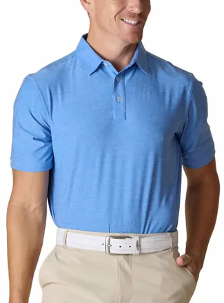 Straight Down Dodge Polo Shirt In Provence