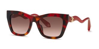 Roberto Cavalli SRC129M 0795 Mens Sunglasses Tortoiseshell Size 54