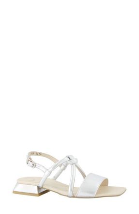 Paul Green Dream Square Toe Slingback Sandal in Alu Metallic Future at Nordstrom, Size 10.5Us