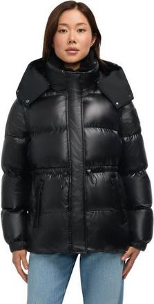 Pajar Halo Puffer with Removable Hood in Black at Nordstrom, Size Xx-Large