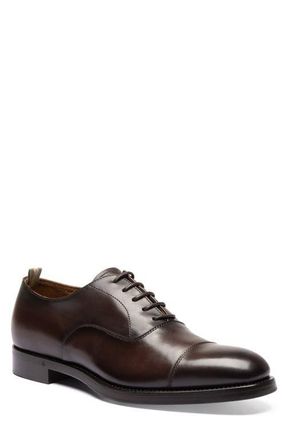Officine Creative Consultant 003 Oxford in Dark Brown at Nordstrom, Size 42