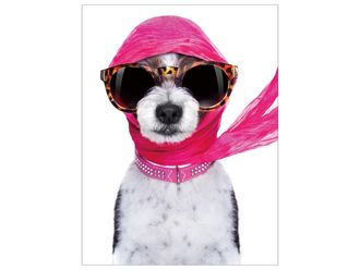 Schubiger M&ouml;bel Digitaldruck auf Glas H&uuml;ndin mit Rosa Schal und Sonnenbrille