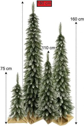 OEM Ch. Delgada B/f 180cm