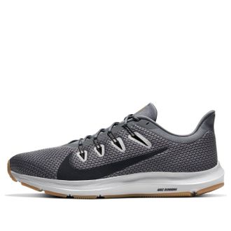 Nike Quest 2 Smoke Grey Gum CI3787-009