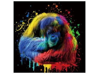 Schubiger M&ouml;bel Digitaldruck auf Glas Farbkomposition Orang Utan Auf Schwarzem Hintergru