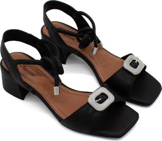 Bottero Ankle Tie Sandal in Preto/Preto at Nordstrom, Size 10