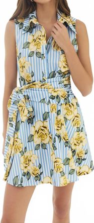 Hutch Biltmore Mini Dress In Blue/yellow Multi Striped Ground Spacious Rose
