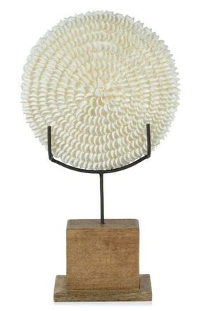 Zodax Natural Clamrose Sea Shell D&eacute;cor in Ivory/Natural at Nordstrom Rack