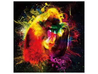 Schubiger M&ouml;bel Digitaldruck auf Glas Farbkomposition Orang Utan