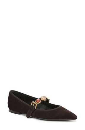 Veronica Beard Selene Charms Pointed Toe Flat in Espresso at Nordstrom, Size 6.5