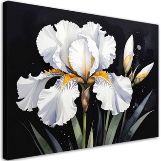 Feeby Cuadro Sobre Lienzo Iris Blanco Sobre Fondo Negro 100x70