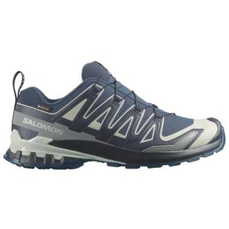 Salomon XA Pro 3D V9 GTX Multisportschuhe f&uuml;r Herren | grau