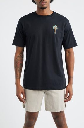 Boardies Mesopotamia Graphic T-Shirt in Black at Nordstrom, Size Xx-Large
