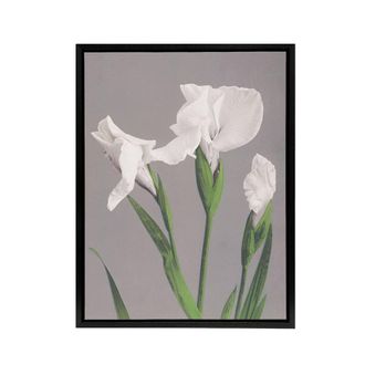 Artery8 White Irises Blooming Flowers Framed Canvas Wall Art Print Kazumasa in Green | Size: W24 x H32