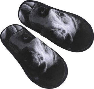 Generic Camping Slippers Australian Shepherd Unisex Slipper Soft Cotton Slipper For Men Holiday Ladies L