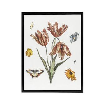 Artery8 Flowers Butterflies & A Fly Johan Teyler Black Framed Canvas Art in White | Size: W24 x H32