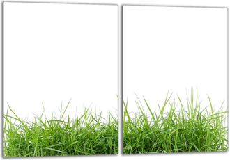 OEM Placa Protectora De Vidrio Para Estufa 2x40x52 Blanco