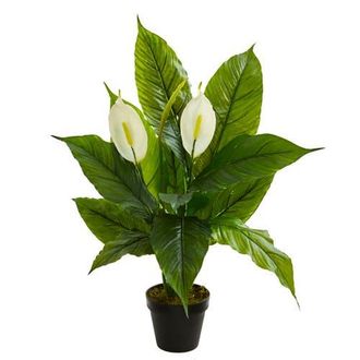 Nearly Natural 26-in Spathiphyllum Artificial Plant in Green at Nordstrom