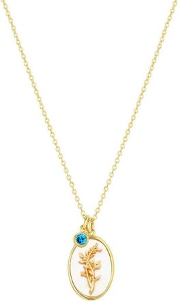 Set & Stones Katrina Birth Flower and Birthstone Charm Necklace in Gold /December at Nordstrom