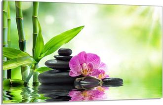 OEM Placa Protectora De Vidrio Para La Estufa 80x52 Orchidea