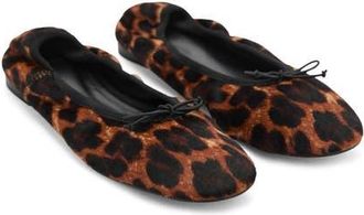 Mango Leopard Print Genuine Calf Hair Ballerina Flat in Black at Nordstrom, Size 6.5Us