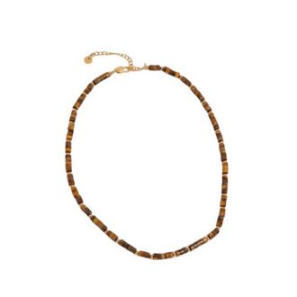 Adiba Horizon Tiger Eye Stainless Steel Necklace in Gold at Nordstrom