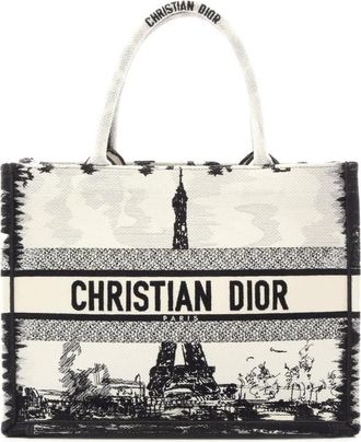 Dior Pre-owned Dior Medium Embroidered Canvas Eiffel Tower Book Tote Ladies ZZXGVFQWW3B77GHF